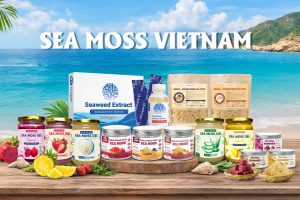 Sea Moss Supplier