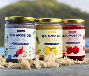 seamoss for smoothies - seamossvietnam