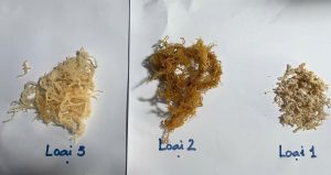 dried sea moss