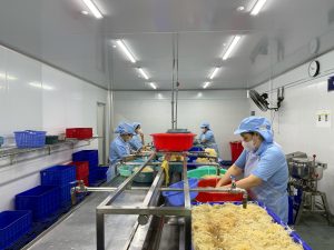 sea moss production process