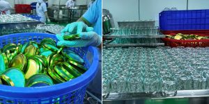 sea moss gel shelf life - seamossvietnam.com