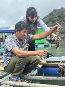sea moss community impact