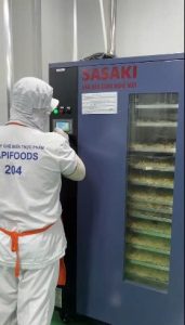 sea moss production process