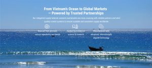 switch sea moss supplier