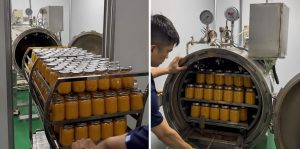 sea moss gel shelf life - seamossvietnam.com