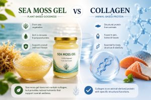 seamossvietnam - Does Sea Moss Gel Actually Contain Collagen?