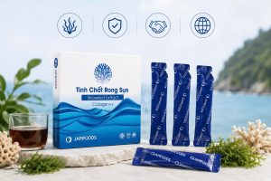 seaweed extract - seamossvietnam