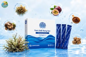seaweed extract - seamossvietnam