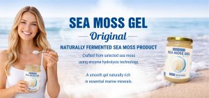 seamoss gel - seamossvietnam