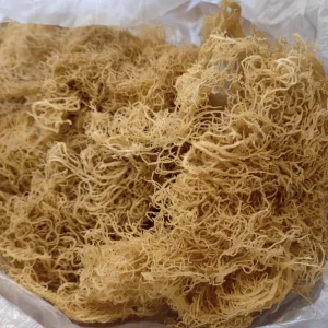 Alternative view of Dried Sea Moss