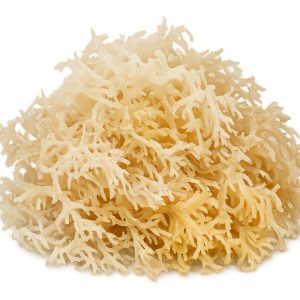 Dried Sea Moss